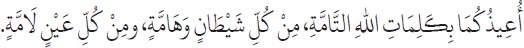 Arabic text from the source edition