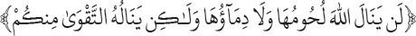Arabic text from the source edition