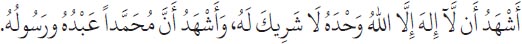 Arabic text from the source edition