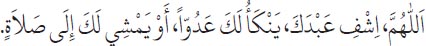 Arabic text from the source edition