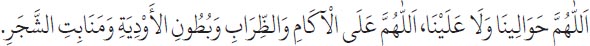 Arabic text from the source edition