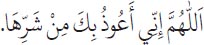 Arabic text from the source edition