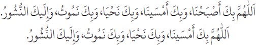 Arabic text from the source edition