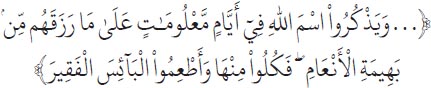 Arabic text from the source edition