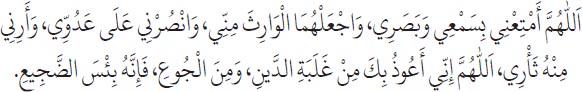 Arabic text from the source edition