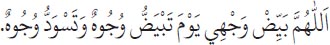 Arabic text from the source edition