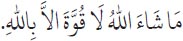 Arabic text from the source edition