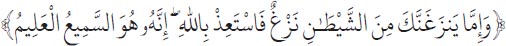Arabic text from the source edition