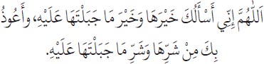 Arabic text from the source edition