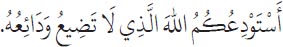 Arabic text from the source edition