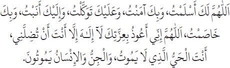 Arabic text from the source edition