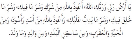 Arabic text from the source edition