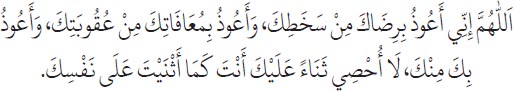 Arabic text from the source edition