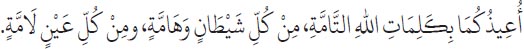 Arabic text from the source edition
