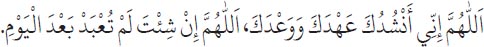 Arabic text from the source edition