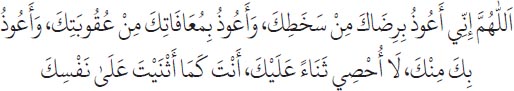 Arabic text from the source edition