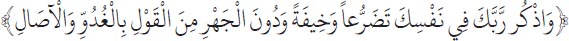Arabic text from the source edition