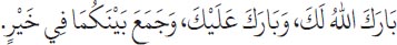 Arabic text from the source edition