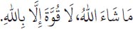 Arabic text from the source edition
